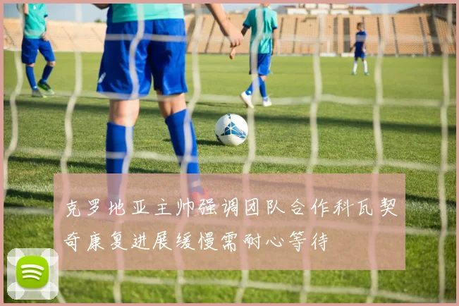 克罗地亚主帅强调团队合作科瓦契奇康复进展缓慢需耐心等待