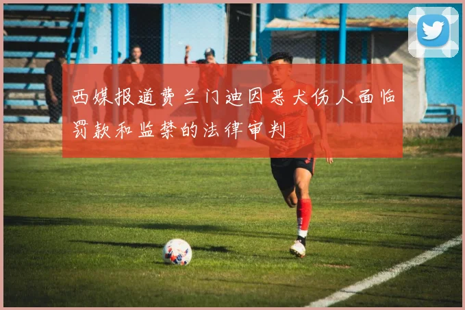 西媒报道费兰门迪因恶犬伤人面临罚款和监禁的法律审判